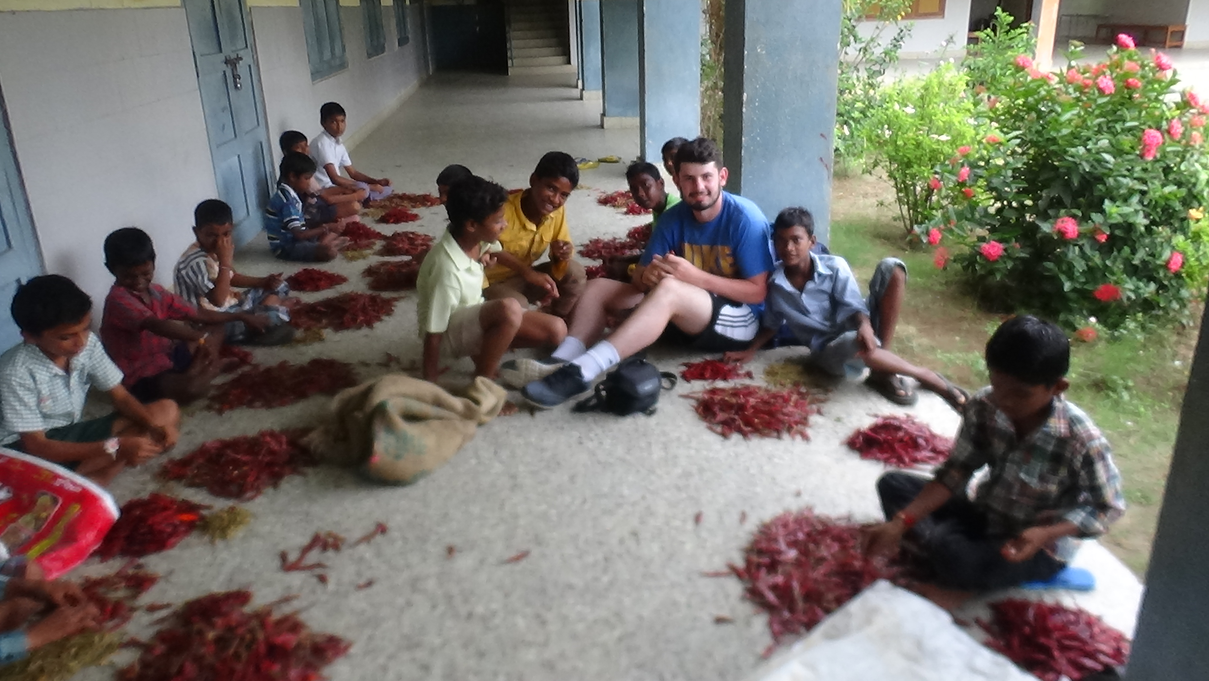 Josh sorting chillies at Warangal school